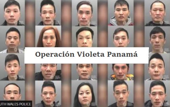 Operation Violet Panama